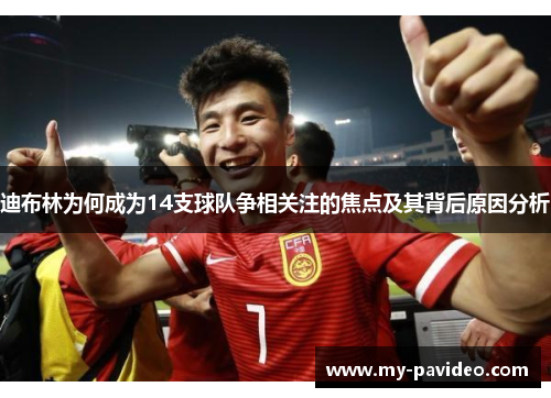 迪布林为何成为14支球队争相关注的焦点及其背后原因分析